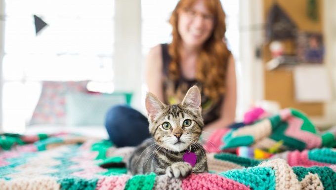 cat with woman on blanket