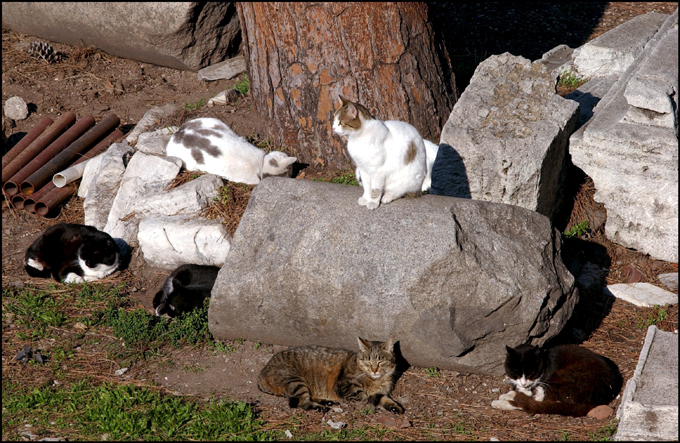 (Photo by Eric VANDEVILLE/Gamma-Rapho via Getty Images)