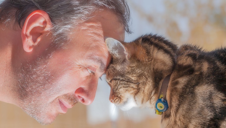 man and old cat: real love - have faith in / trusting