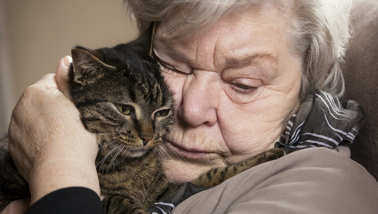 Portrait of senior woman cuddling with her cat