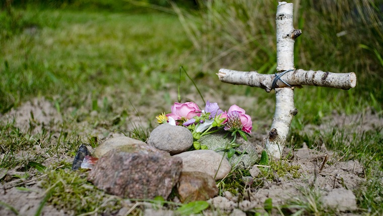 Grave of a pet covered by stones and with wooden cross.