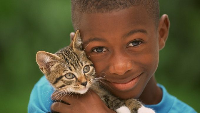 kid with kitten