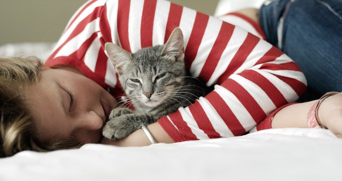 human snuggling cat