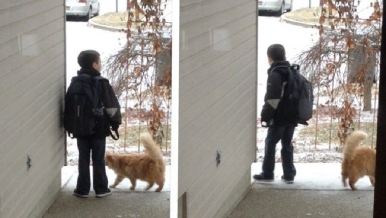 Fish waits with his boy in winter