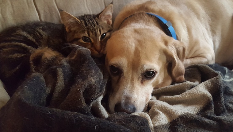 Unlikely friends come together on a cold morning