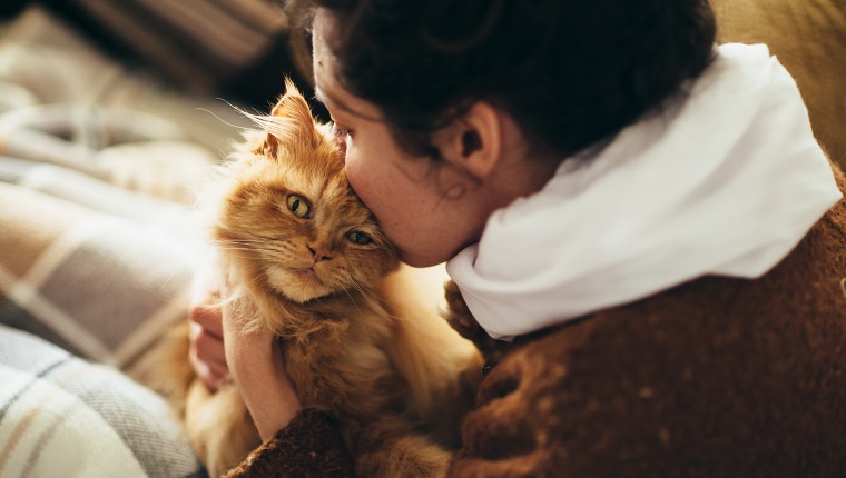 Woman kissing cute cat's head. Tender scene.