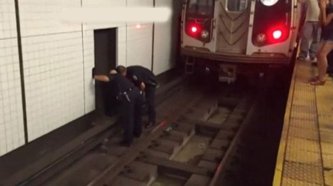 nypd-officers-rescue-cat-subway-2