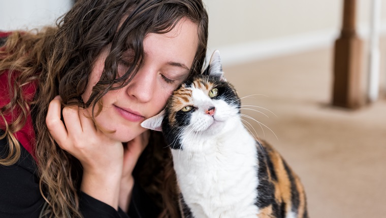 Young woman bonding with calico cat bumping rubbing bunting heads, friends friendship companion pet happy affection bonding face expression, cute adorable kitty