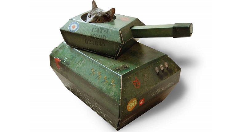 cat in a cat tank