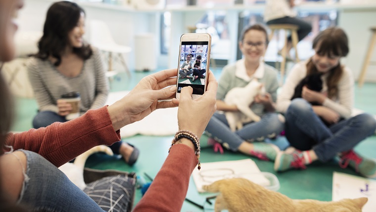 Mother with camera phone photographing daughter and friend holding kittens in cat cafe