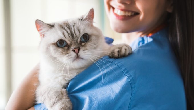 vet with cat in arms