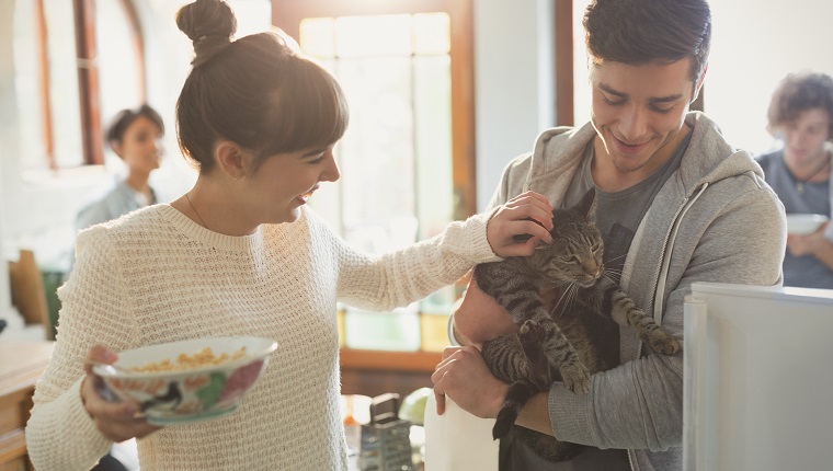 Young couple petting cat in kitchen