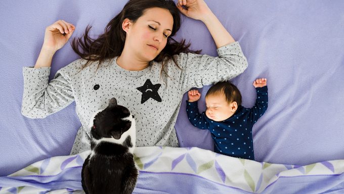 mom in bed with baby and cat