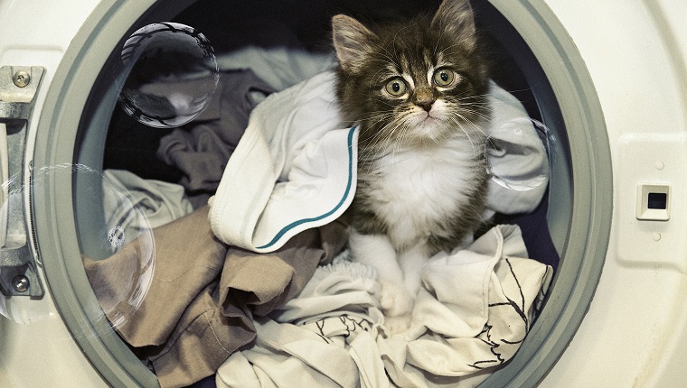 Laundry day!