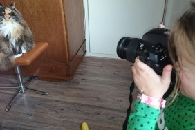 Girl Photographing Cat At Home