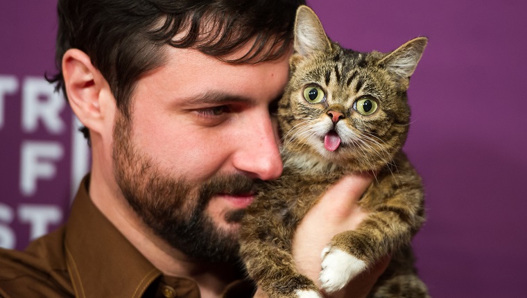 NEW YORK, NY - APRIL 18: Bubs owner Mike Bridavsky (L) and celebrity internet cat Lil Bub attends the screening of "Lil Bub & Friendz" during the 2013 Tribeca Film Festival at SVA Theater 1 on April 18, 2013 in New York City.