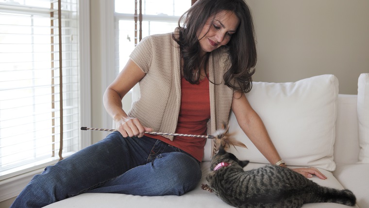 Woman playing with toy and cat on sofa