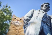 abraham lincoln statue and cat