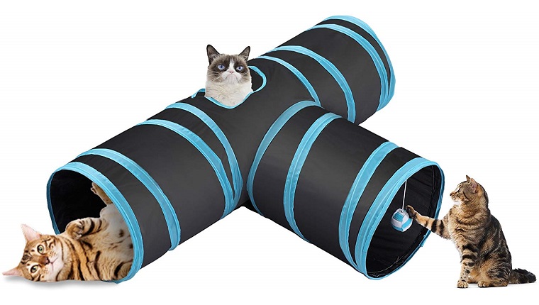 cat tunnel