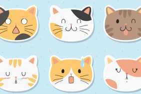 Cat stickers