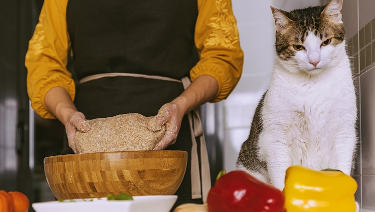 Woman preparing delicious pizza with her sweet cat. Home made concept.