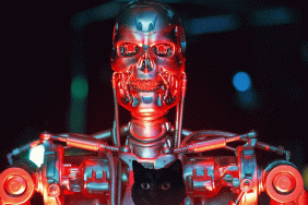 cat in front of the terminator robot