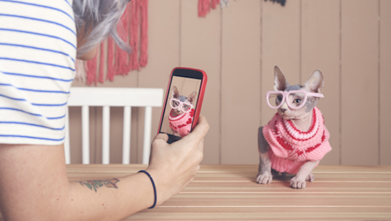 Woman taking photo of cat