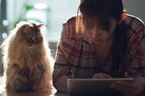 Cat and girl watching iPad