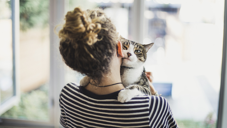 Human holding cat