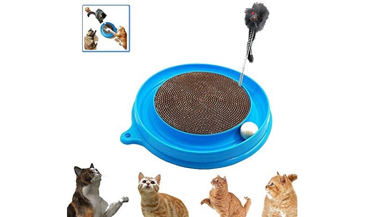 cat toy & scratcher