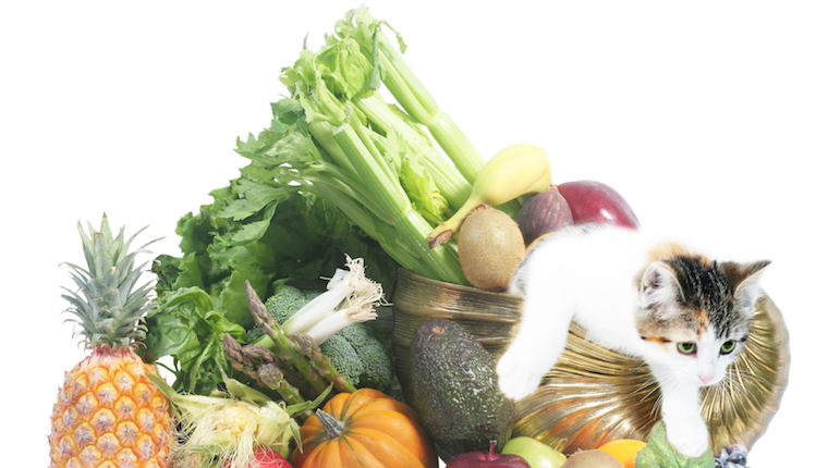 Kitten and vegetables