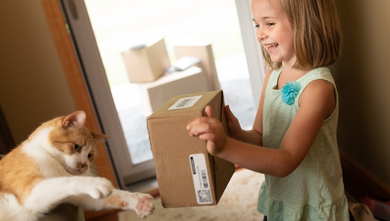 Cute Little Girl Showing Delivery Box to Cat