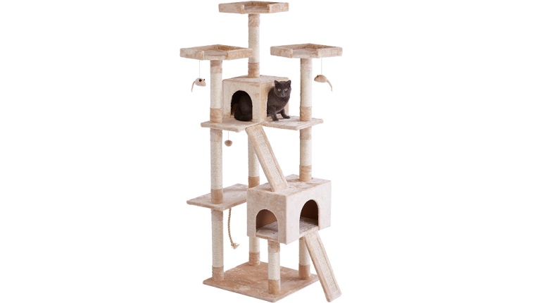 large cat condo