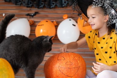 Girl in witch halloween costume sitting on a table playing with pumpkin and her pet cat. Halloween lifestyle background.