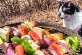 Raw Vegetables and Tofu are prepared for Kabobs and grilled on a Portable Grill