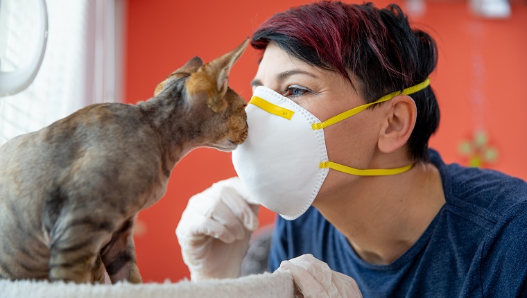 Mid Adult Female Pet Owner Kissing Her Cat With Protective Mask During Coronavirus Pandemic.