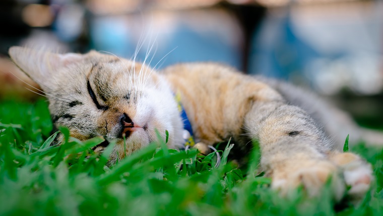 Photo taken in Bangkok, Thailand