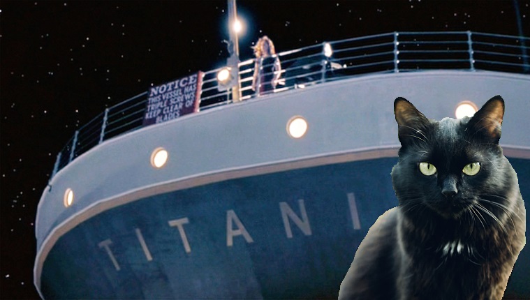 cat in front of titanic