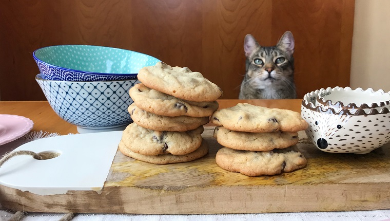 Freshly baked chocolate chip cookies.