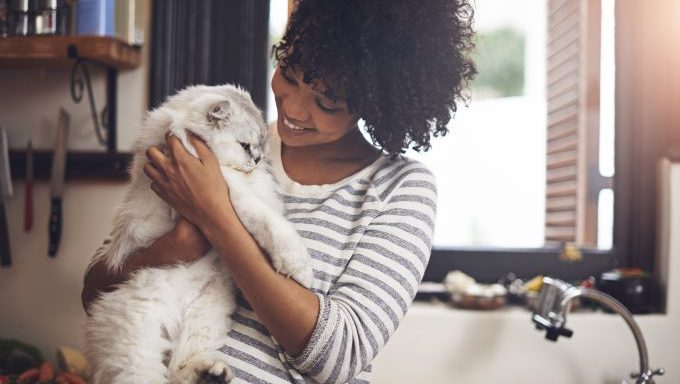 woman hugging cat while cat sitting