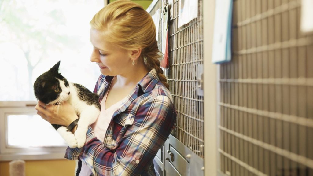 Woman adoringly looking a rescue cat in an animal shelter.