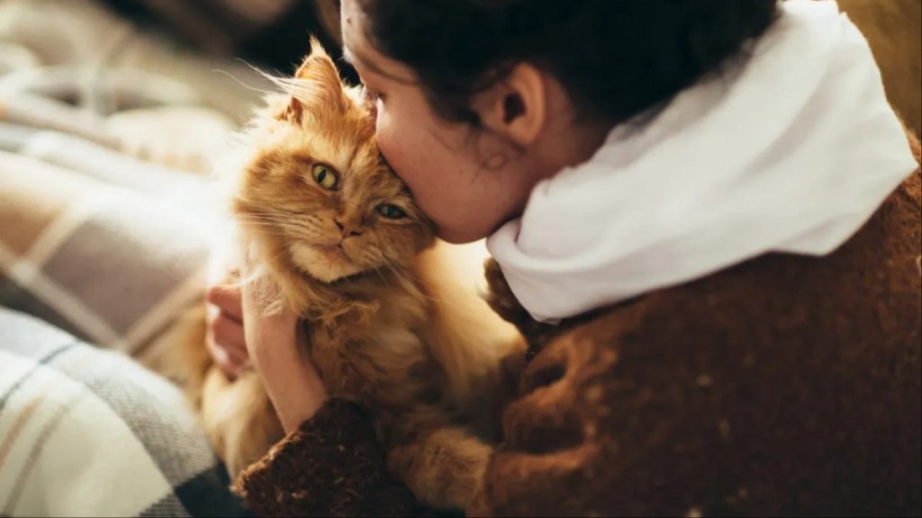 A cat with a woman, like the cat in Florida who saved her owner from a fire.