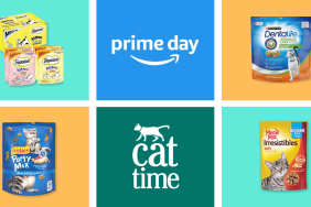 Prime Day Deals