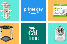 Amazon Prime Day 2024 CatTime