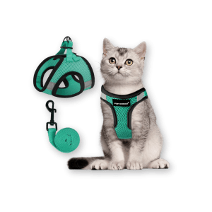 Best Cat Harness by FAYOGOO