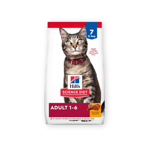 Best Cat Dry Food by Hill's