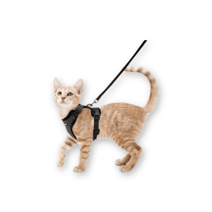 Best Cat Harness by Rabbitgoo