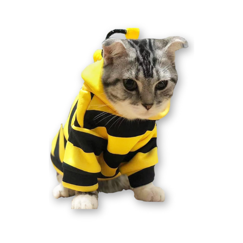 Bee costume for cat