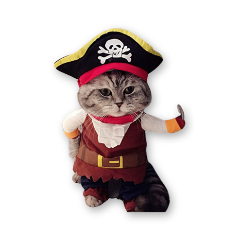 Pirate costume for cat