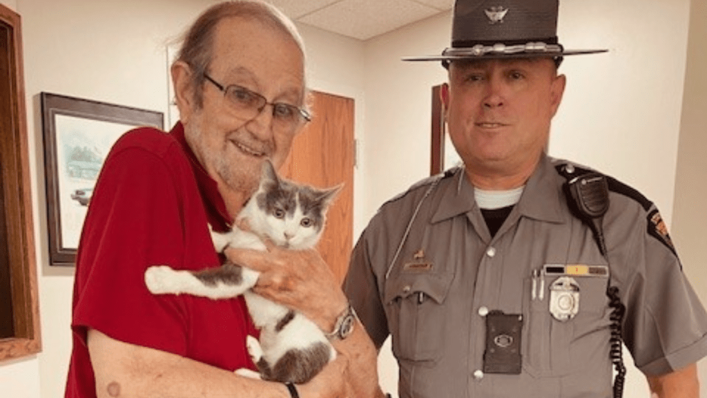 cat rescued ohio